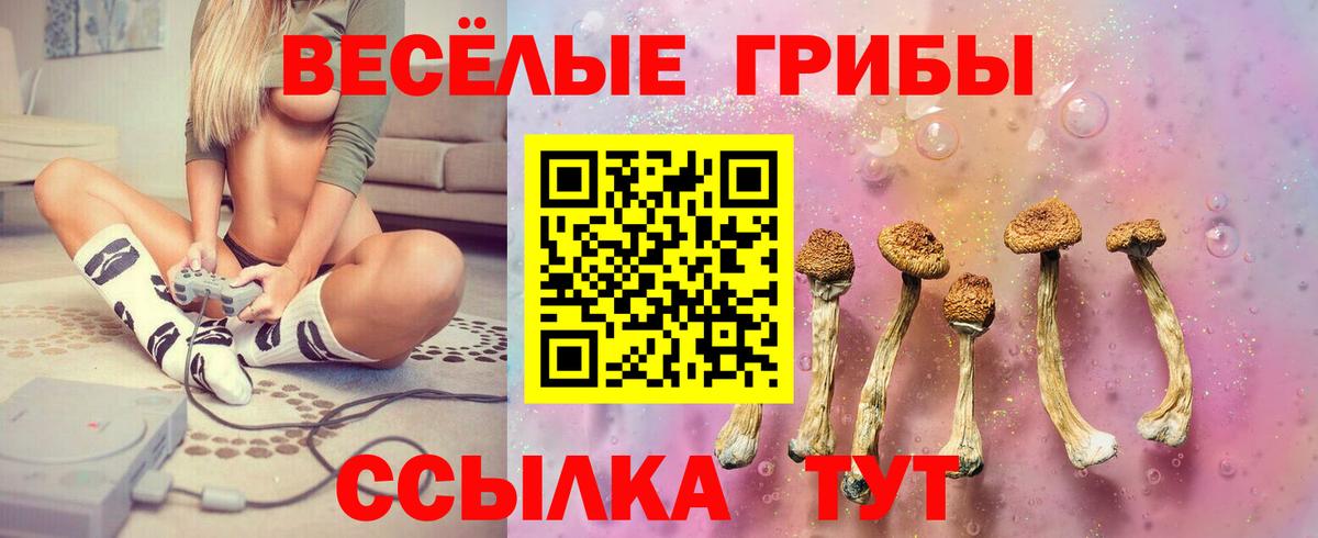 Чебоксары  Галлюциногенные грибы мухоморы  Вход с VPN  Псилоцибиновые грибы мицелий 
