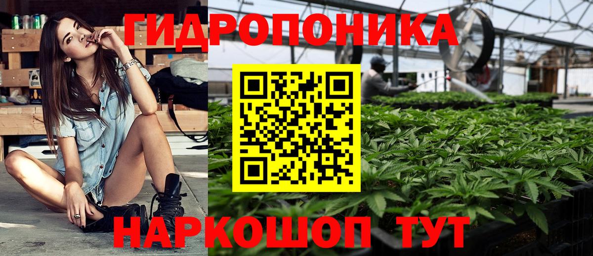 Марихуана план Чебоксары